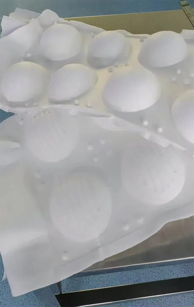 Needle Punched Nonwoven Fabric