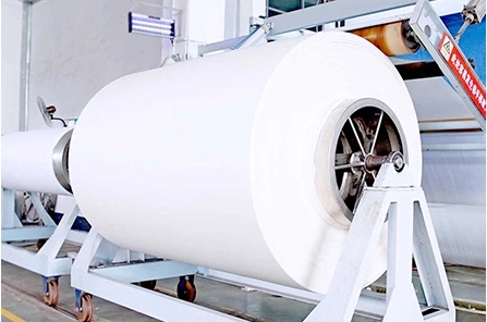 Spunlace Nonwoven Fabric